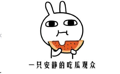 抖音黑料吃瓜网,吃瓜网带你探秘网红圈幕后真相