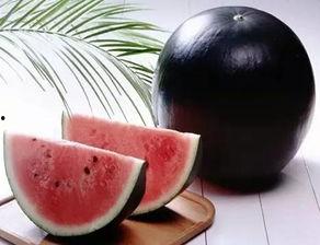 吃瓜群q黑料,一场网络舆论的风暴与反思